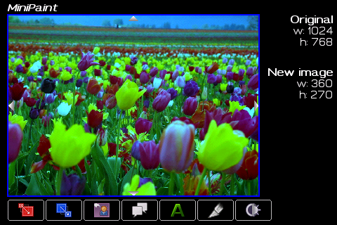 The color filter